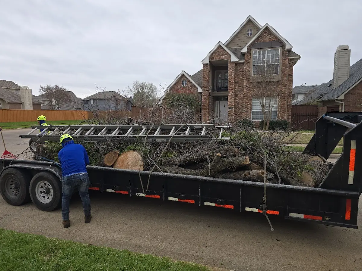 Expert Tree Fertilization with proper safety equipment in Eminence